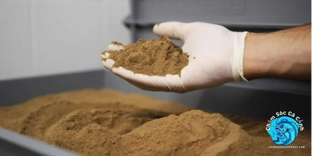 Bột Cá, Tôm Khô Xay Nhuyễn