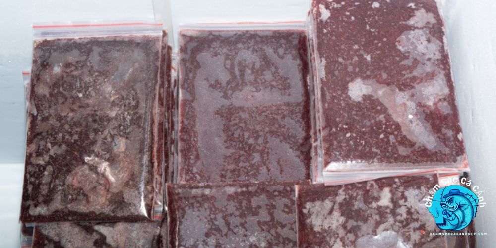 Trùn Huyết Đông Lạnh