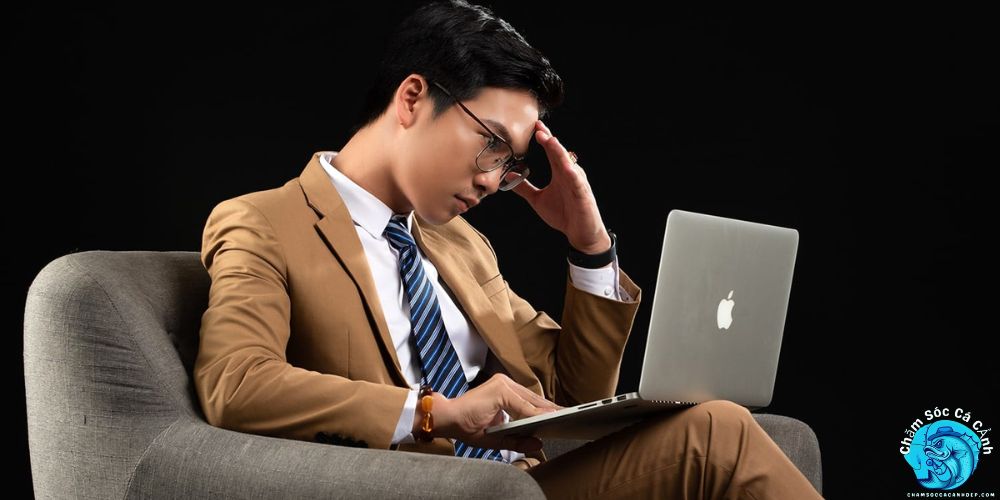 Bí Quyết Thành Công Trong Kinh Doanh Cá Cảnh Của CEO Bùi Cao Liêm