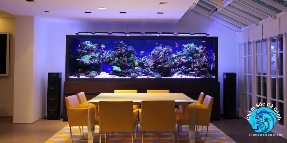 Bể cá phong thuỷ