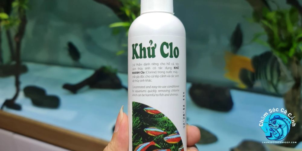 Cách Khử Clo Hiệu Quả