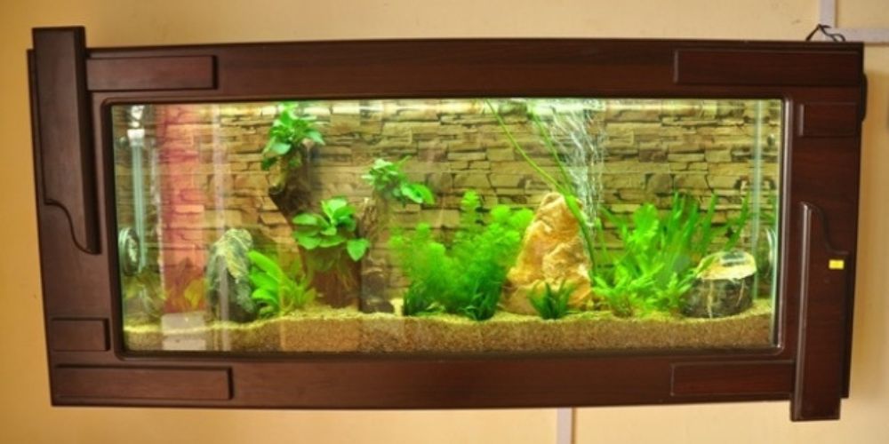 Chọn Bể Cá Treo Tường