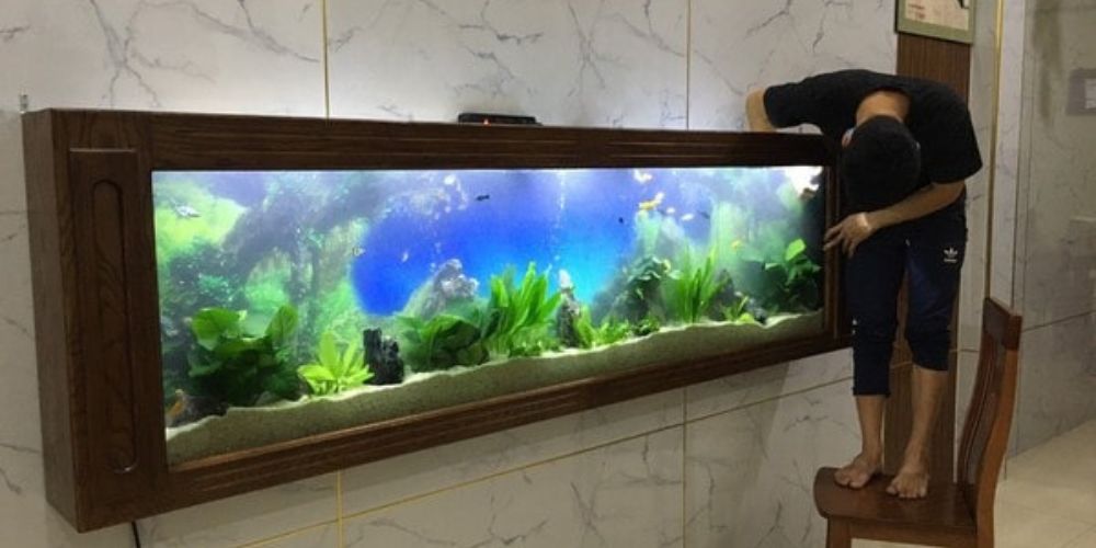 Hướng dẫn lựa chọn và lắp đặt bể cá