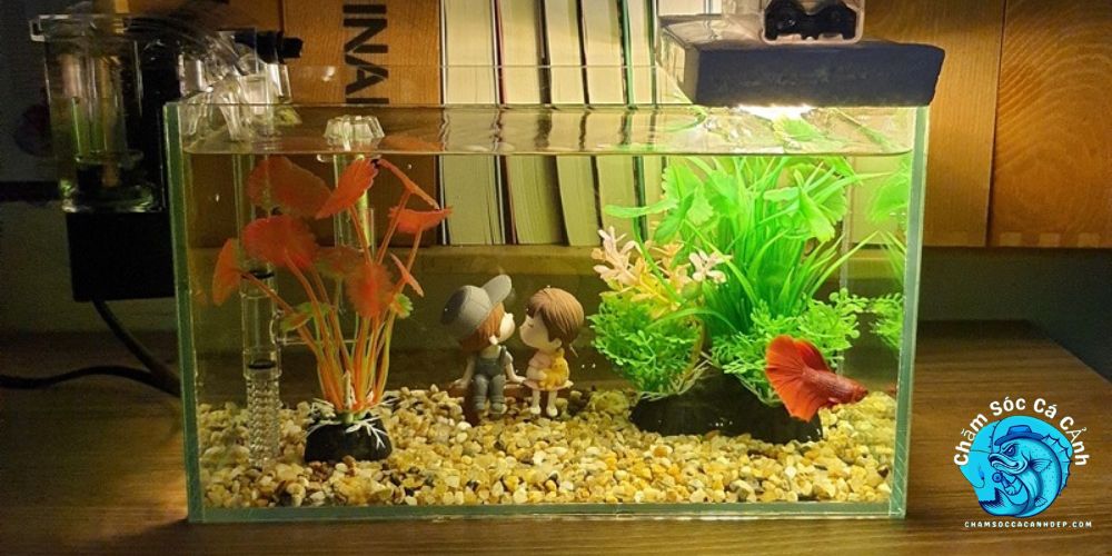 Kiểm Tra Nước Sau Khi Khử Clo