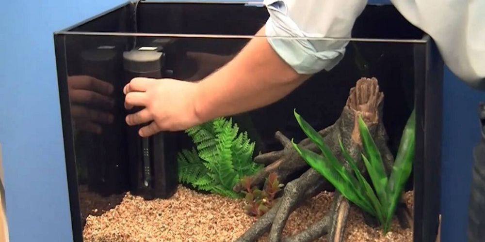 Làm Hồ Cá Cảnh Tại Nhà