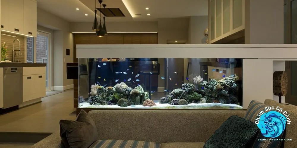 Những điều cấm kỵ khi chơi bể cá phong thuỷ