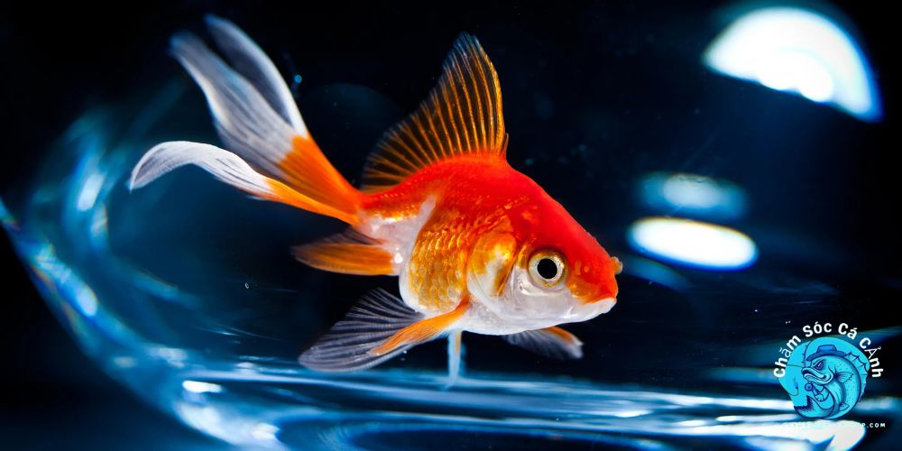 Những sai lầm cần tránh