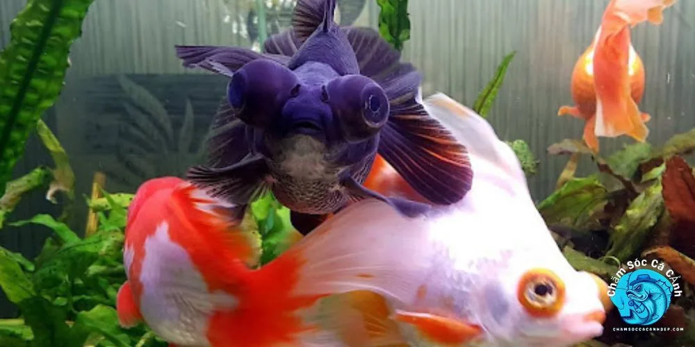 Biện Pháp Phòng Ngừa 