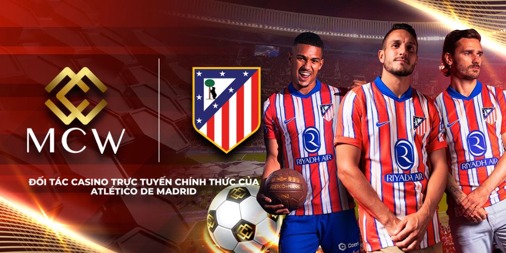 Tại Sao MCW77 Bị Chặn và Cách Khắc Phục?