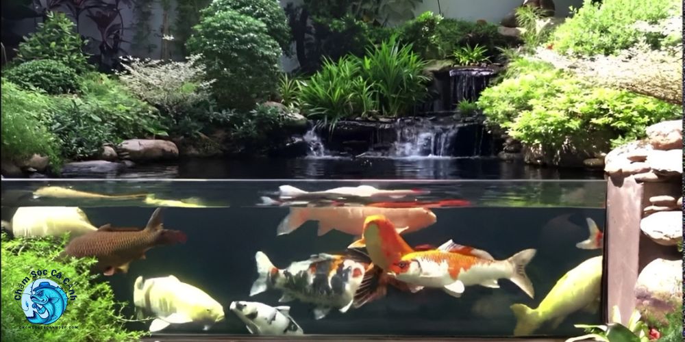 Lợi ích lâu dài của việc duy trì vi sinh đều đặn