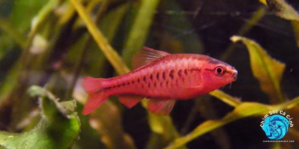 Một số lưu ý quan trọng