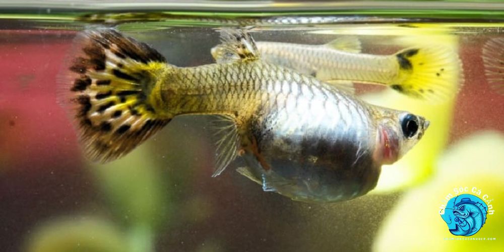 Tầm quan trọng của việc nhận biết sớm