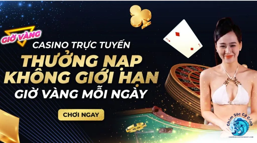 Danh sách code MCW mới nhất (Cập nhật theo tháng)