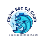 Logo Chăm Sóc Cá Cảnh Đẹp