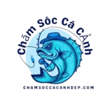 Logo Chăm Sóc Cá Cảnh Đẹp