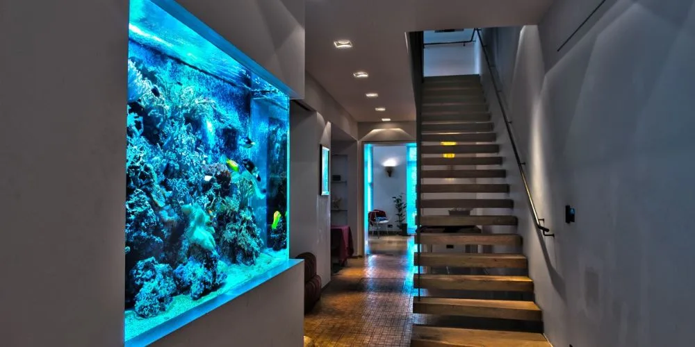 Bể Cá Treo Tường