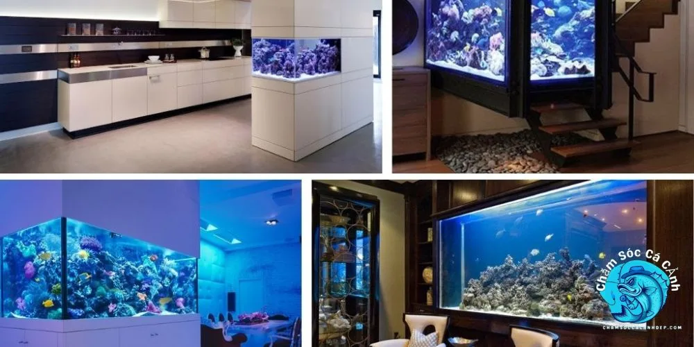 Bể cá phong thuỷ