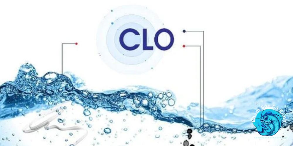 khử clo trong nước nuôi cá