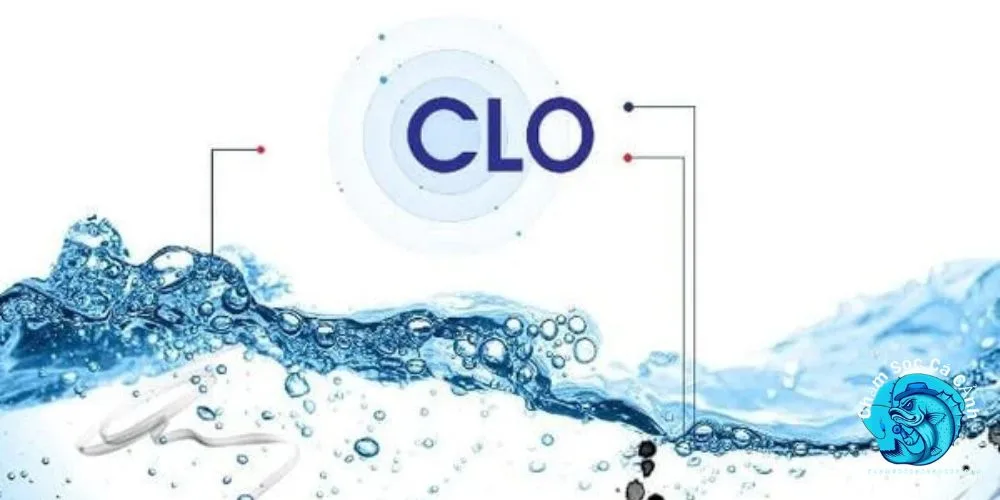khử clo trong nước nuôi cá