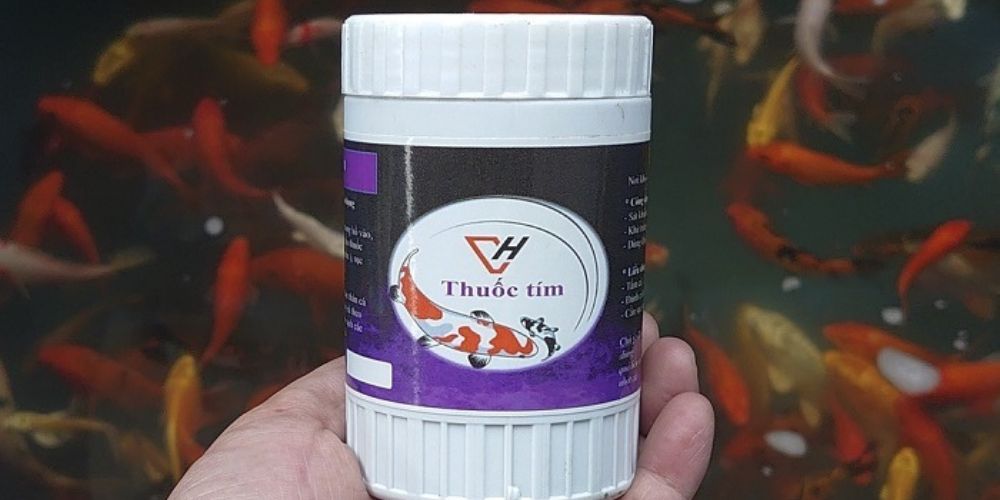 thuốc tím hồ cá